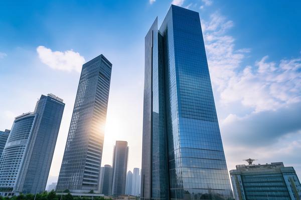 电子商务公司骗子套路分析与项目融资风险防范策略 图1