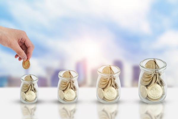 债券融资的不安抗辩：探究投资者保护机制 图2