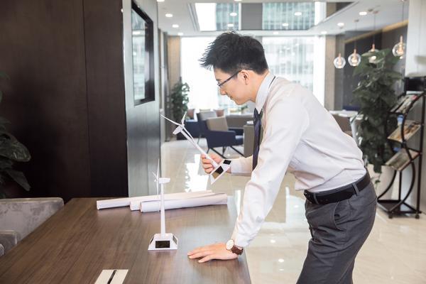 基于项目融资的高澜股份投资担保模式分析 图2