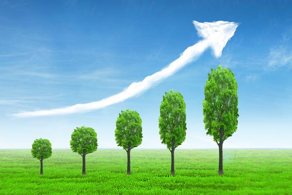 挖掘市场潜力，创业项目的新蓝海：实现财富自由的利器图1