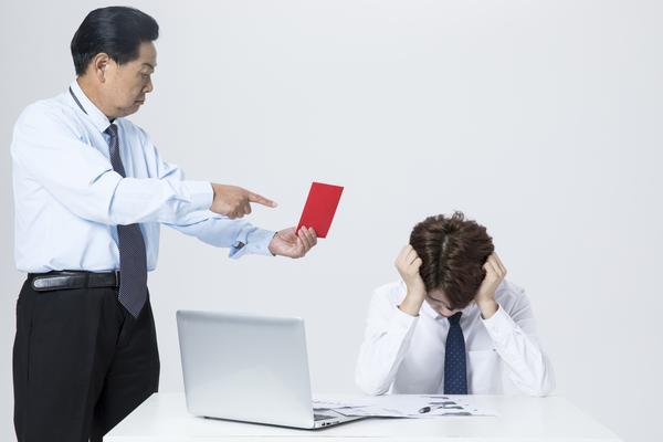 商业计划书-管理结构-项目融资的关键框架 图2