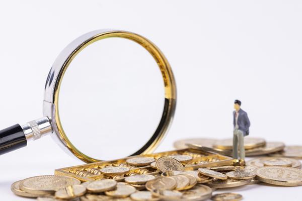专项融资与项目融资的区别及在现代金融领域中的应用 图1