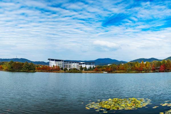 大学生贷款还款账号遗忘对项目融资的影响及应对策略 图2