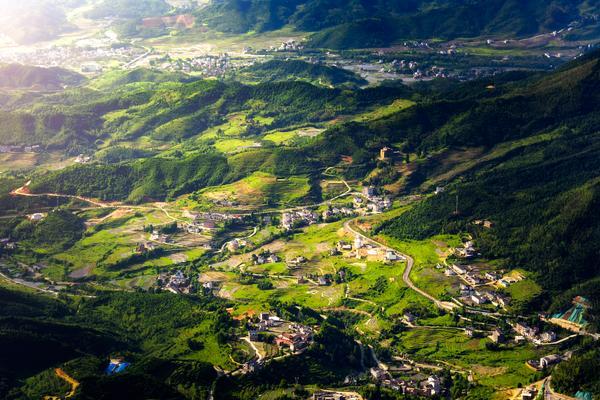 蜂蜜滋润美丽，肌肤焕发自然光图1