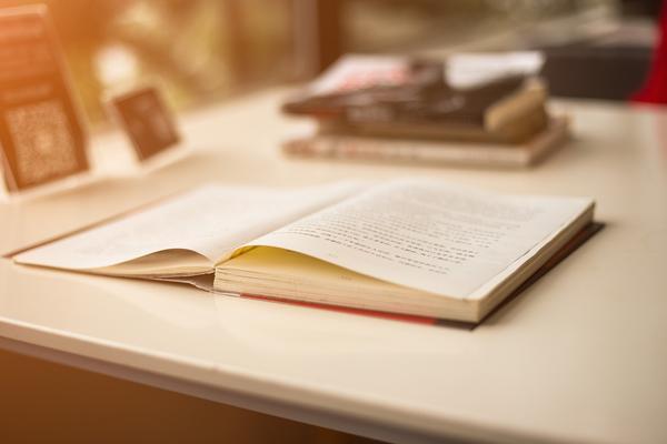 公司人力资源管理——项目融资核心竞争力的关键 图2