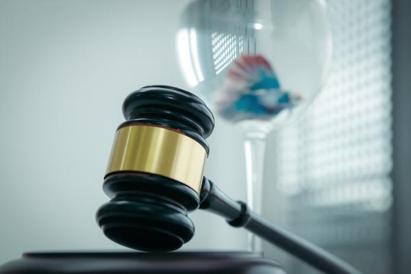 二手房房贷银行行长签字流程及注意事项全解析 图1