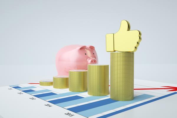 实体创业项目投资手册:从想法到实践图1