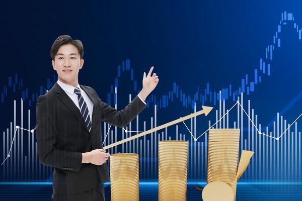 平安融资租赁公司贷款买车|项目融资模式解析与行业趋势 图1