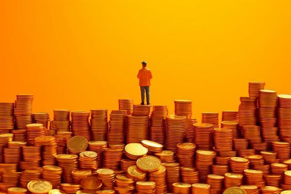 阳光私募基金的运作模式及对项目融资的影响分析 图1