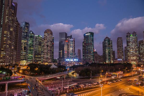 热带植物行业趋势分析与项目融资策略 图1