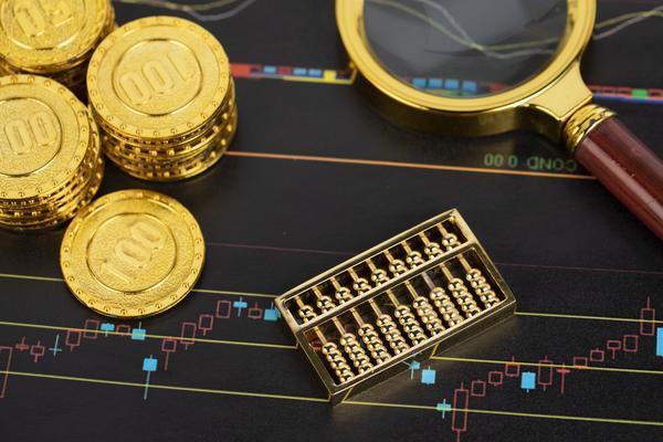 项目融资的动物式精益管理智慧：效率与优化的艺术 图2
