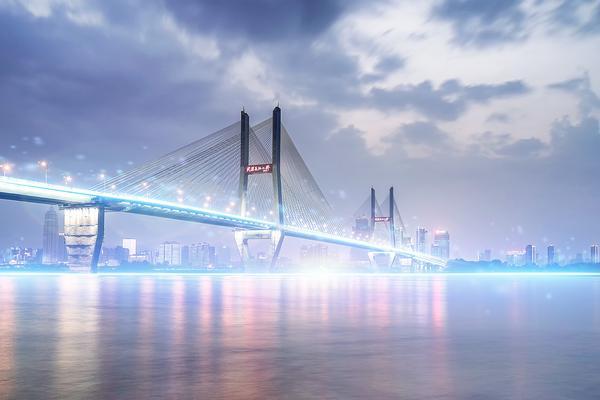 生姜市场需求量解析与项目融资策略 图1