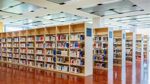 国有建设用地使用权|担保物权|债权分类 图1